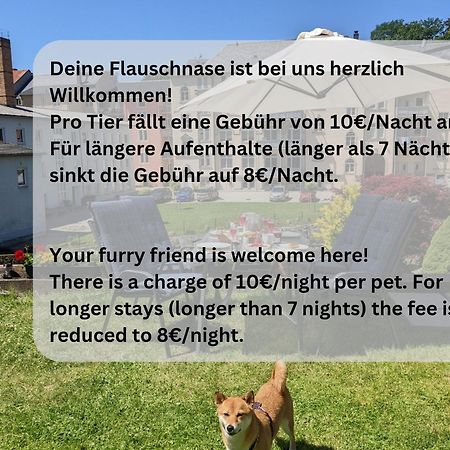 Zi1 - Urlaubsmagie - Erholung Mit Whirlpool & Sauna Sebnitz Eksteriør bilde